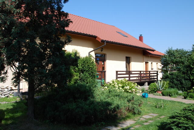 Zieleń wokół domu